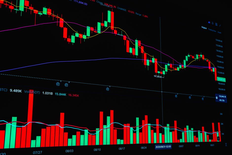 Elo busca valuation de US$ 3 bilhões e ainda mira IPO nos EUA em 2026
