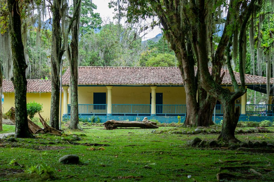 Casa Riachuelo e Boobam lançam coleção que celebra o design brasileiro