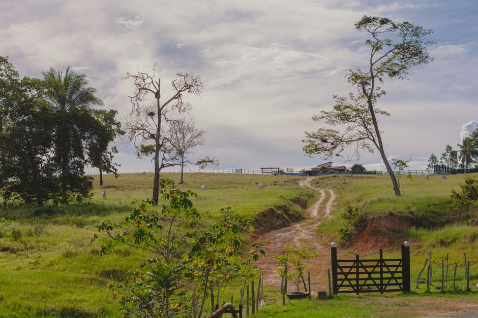 Quem sai de 'A Fazenda 18' hoje? Enquete aponta favorito à eliminação