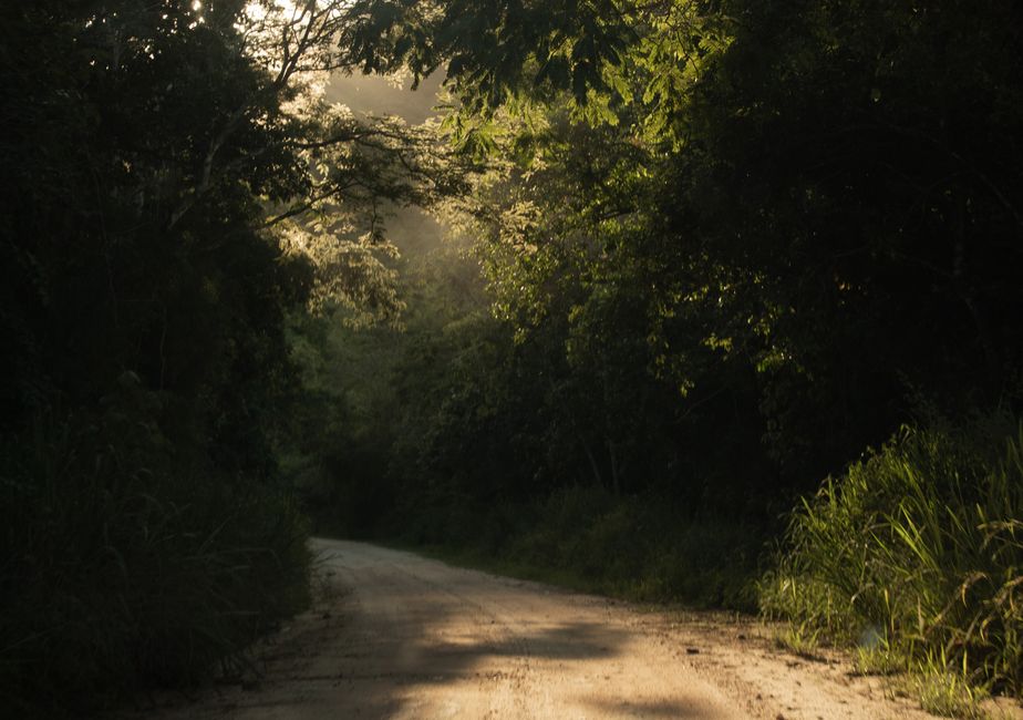 Desmatamento cai 41% na Amazônia e 23% no Cerrado e atinge menor nível da história